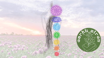 Illustration of a yogi silhouette meditating in a pink flower field at sunset, with chakra symbols aligned along the body and the Earth Siren logo in the foreground. art by Elizabeth Schirk