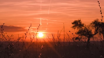 Sun rising near the horizon at the spring equinox, representing the beginning of the astrological year and the shift into Aries season