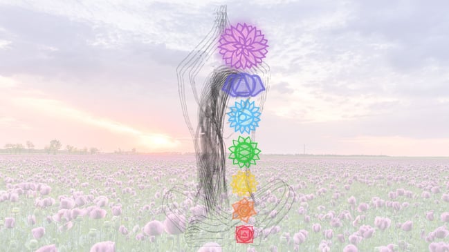 Illustration of a yogi silhouette meditating in a pink flower field at sunset, with chakra symbols aligned along the body