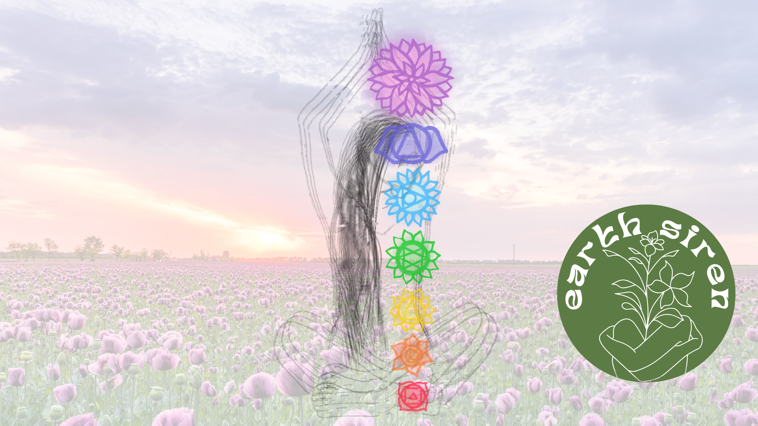 Illustration of a yogi silhouette meditating in a pink flower field at sunset, with chakra symbols aligned along the body and the Earth Siren logo in the foreground. art by Elizabeth Schirk