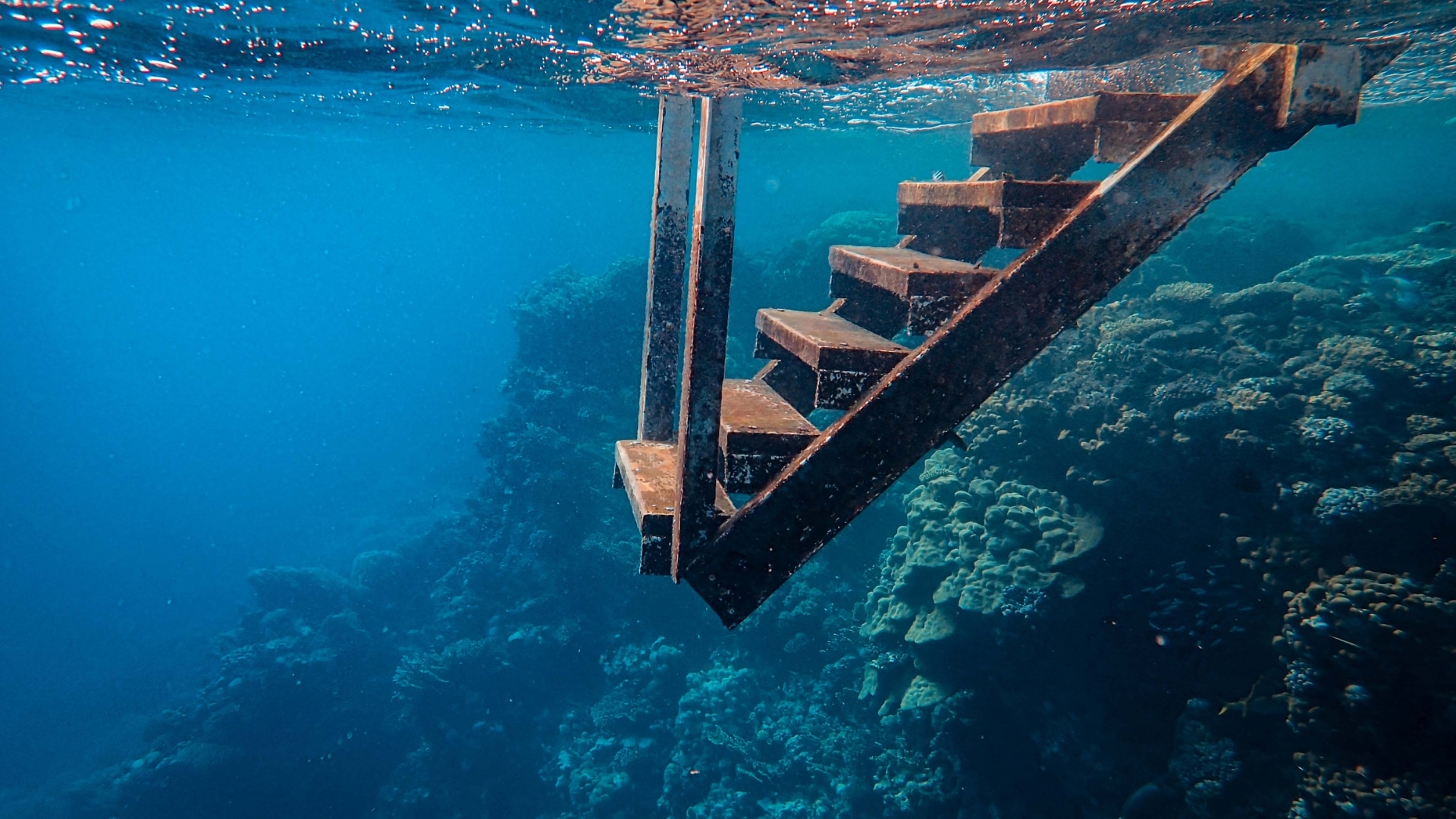 Underwater staircase descending into open water, continuing without a visible endpoint.